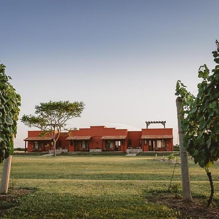 El Legado Wine Lodge كارميلو المظهر الخارجي الصورة